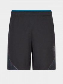 Спортивні шорти EA7 модель 6LPS04-PJCKZ-1200 Фото