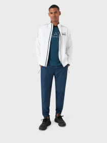 Футболка EA7 Athletic Colour Block модель 6LPT06-PJ02Z-1857 Фото