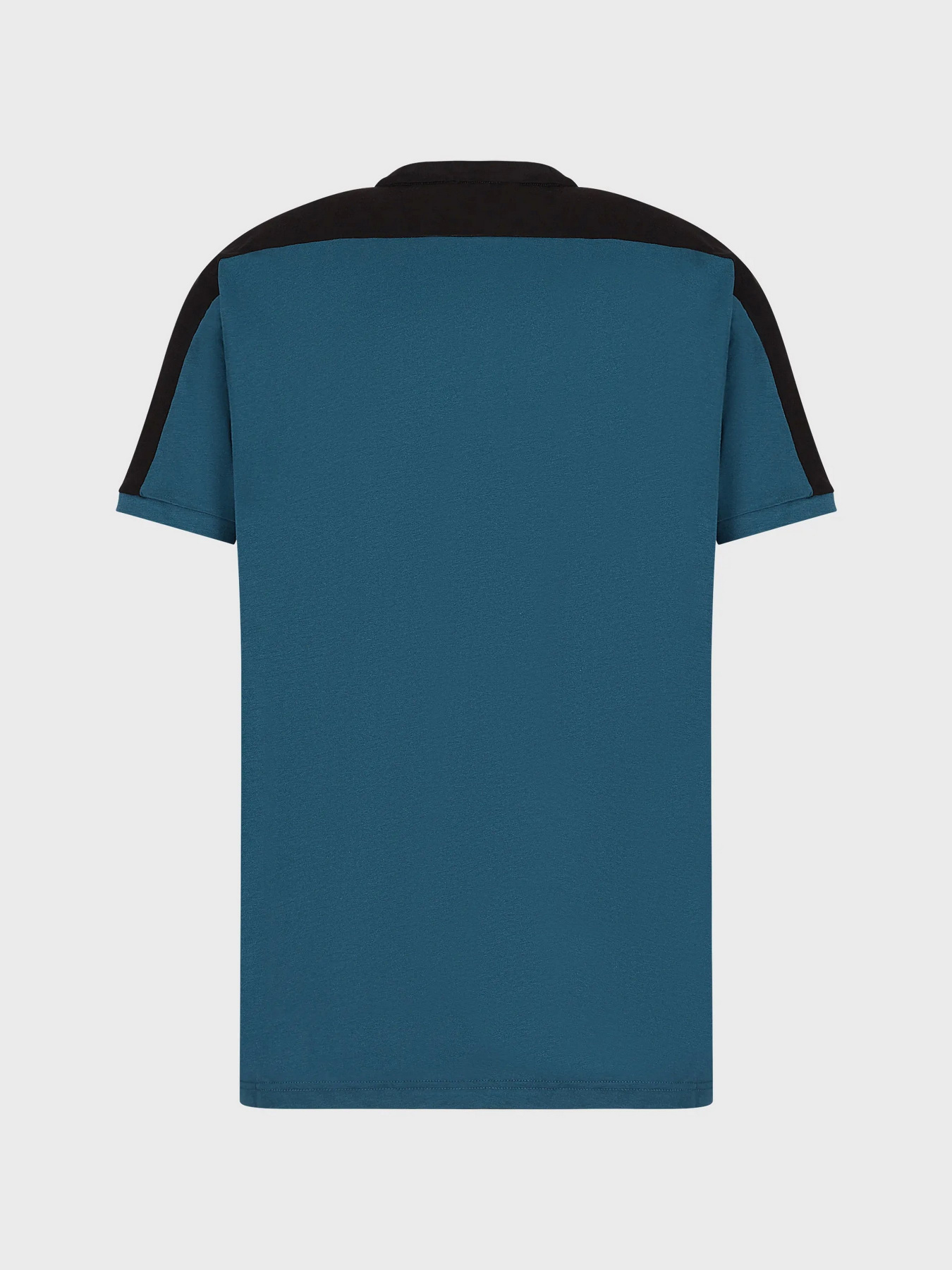 Футболка EA7 Athletic Colour Block модель 6LPT06-PJ02Z-1857 Фото