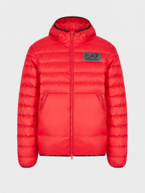 Пуховик EA7 модель 6LPB16-PN5ZZ-1451 Пуховик EA7 модель 6LPB16-PN5ZZ-1451 Фото