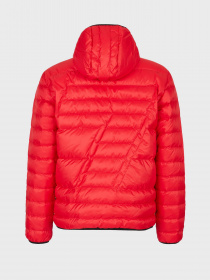 Пуховик EA7 модель 6LPB16-PN5ZZ-1451 Пуховик EA7 модель 6LPB16-PN5ZZ-1451 Фото