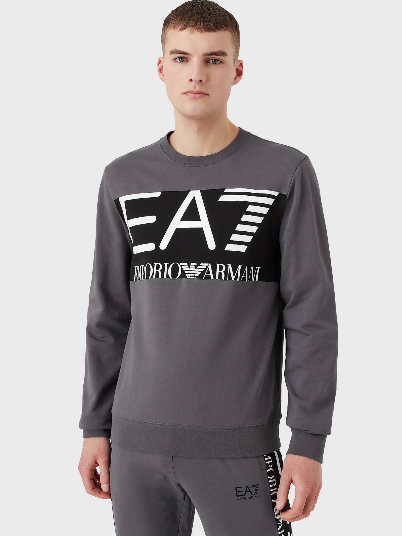 Свитшот EA7 Logo Series модель 6LPM51-PJFGZ-1977 Фото