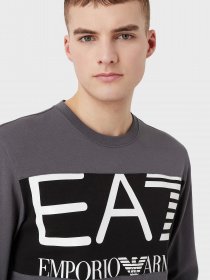 Свитшот EA7 Logo Series модель 6LPM51-PJFGZ-1977 Фото