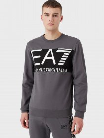 Свитшот EA7 Logo Series модель 6LPM51-PJFGZ-1977 Фото