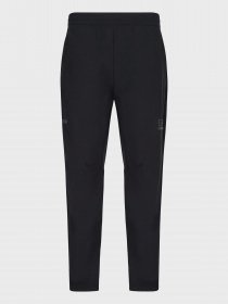 Спортивні штани EA7 модель 6LPP59-PN7ZZ-1200 Фото