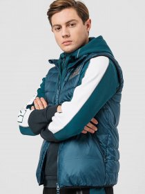 Утеплений жилет EA7 модель 6LPQ02-PN5ZZ-1857 Фото