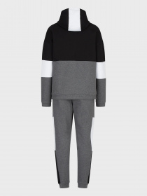 Спортивний костюм EA7 модель 6LPV54-PJ07Z-3925 Фото