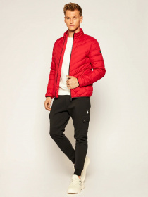 Пуховик EA7 модель 8NPB06-PNE1Z-1450 Фото