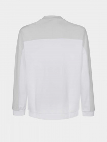 Свитшот EA7 Tonal Block модель 3RPM27-PJF3Z-1100 Фото