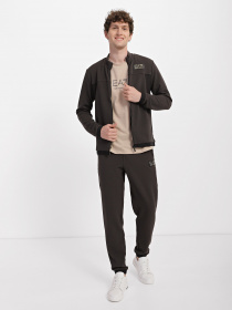 Кофта EA7 Gold Label модель 3RPM31-PJG1Z-1997 Фото