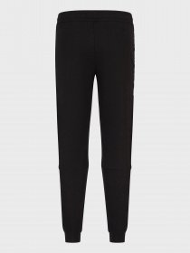 Штаны спортивные EA7 Logo Series модель 3RPP58-PJ05Z-1200 Фото