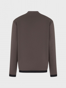 Кофта EA7 Gold Label модель 3RPM57-PJFAZ-1997 Фото