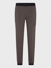 Штаны спортивные EA7 Gold Label модель 3RPP67-PJFAZ-1997 Фото