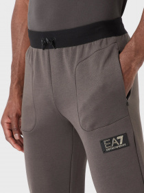 Спортивні штани EA7 Gold Label модель 3RPP67-PJFAZ-1997 Спортивні штани EA7 Gold Label модель 3RPP67-PJFAZ-1997 Фото