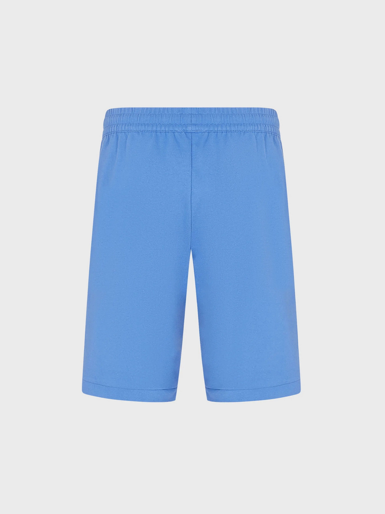 Повседневные шорты EA7 Logo Series модель 3RPS56-PJ05Z-1538 Фото