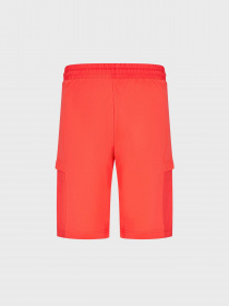 Шорты EA7 Summer Mix модель 3RPS58-PJ05Z-1480 Фото