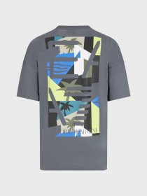 Футболка EA7 Graphic Series модель 3RPT54-PJ7CZ-1977 Фото