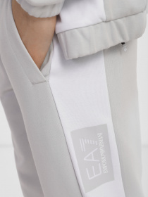 Спортивный костюм EA7 Tonal Block модель 3RPV56-PJF3Z-1941 Фото