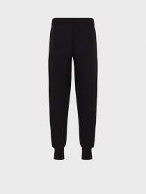 Штаны спортивные EA7 Logo Series модель 6RPP55-PJ07Z-1200 Фото