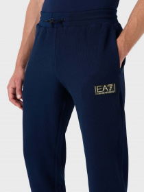Штаны спортивные EA7 Gold Label модель 6RPP70-PJG1Z-1554 Фото