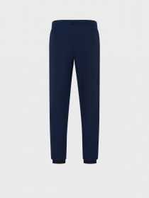 Штаны спортивные EA7 Gold Label модель 6RPP70-PJG1Z-1554 Фото