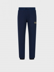 Спортивні штани EA7 Gold Label модель 6RPP70-PJG1Z-1554 Фото