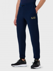Спортивні штани EA7 Gold Label модель 6RPP70-PJG1Z-1554 Фото