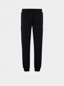 Штаны спортивные EA7 Sport Comfort модель 6RPP75-PJGEZ-1200 Фото