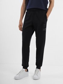 Штаны спортивные EA7 Sport Comfort модель 6RPP75-PJGEZ-1200 Фото