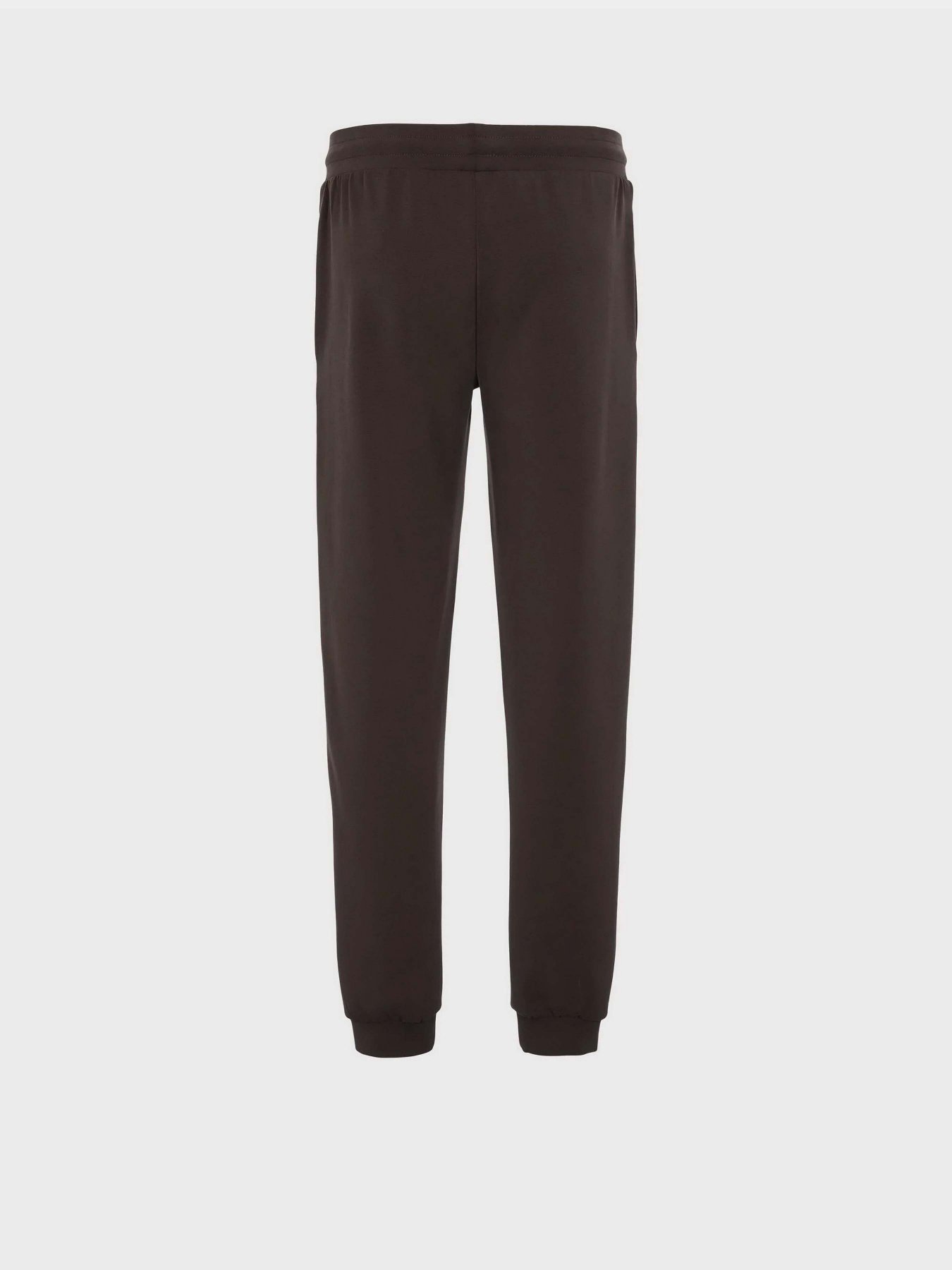 Штаны спортивные EA7 Sport Comfort модель 6RPP75-PJGEZ-1762 Фото