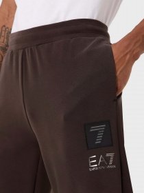 Штаны спортивные EA7 Sport Comfort модель 6RPP75-PJGEZ-1762 Фото
