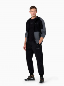 Кофта EA7 Athletic Colour Block модель 6RPM33-PJEQZ-1977 Фото