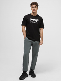 Штаны спортивные EA7 Logo Series модель 6RPP55-PJ07Z-1842 Фото