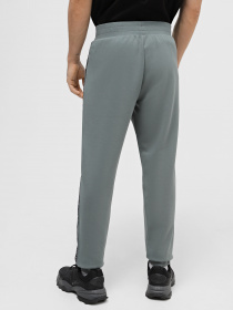 Штаны спортивные EA7 Logo Series модель 6RPP55-PJ07Z-1842 Фото