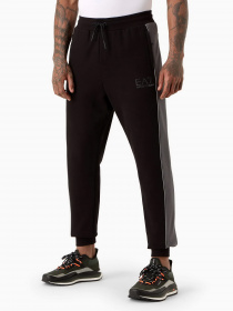 Штаны спортивные EA7 Athletic Colour Block модель 6RPP64-PJ07Z-1200 Фото