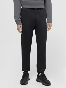 Штаны спортивные EA7 Gold Label модель 6RPP68-PJRZZ-1200 Фото