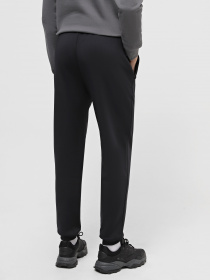 Штаны спортивные EA7 Gold Label модель 6RPP68-PJRZZ-1200 Фото