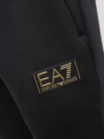 Штаны спортивные EA7 Gold Label модель 6RPP68-PJRZZ-1200 Фото