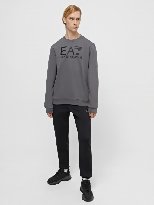 Штаны спортивные EA7 Gold Label модель 6RPP68-PJRZZ-1200 Фото