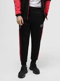 Штаны спортивные EA7 University squad модель 6RPP89-PJ07Z-1200 Фото