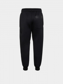 Штаны спортивные EA7 Ventus7 Lab модель 6RPP92-PJSQZ-1200 Фото