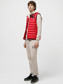 Жилет с утеплителем EA7 модель 6RPQ02-PN5ZZ-1462 Фото