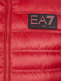 Утепленный жилет EA7 модель 6RPQ02-PN5ZZ-1462 Фото