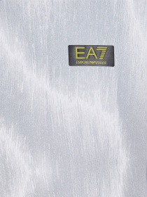 Футболка EA7 Vigor 7 модель 6RPT35-PJ3UZ-2922 Футболка EA7 Vigor 7 модель 6RPT35-PJ3UZ-2922 Фото