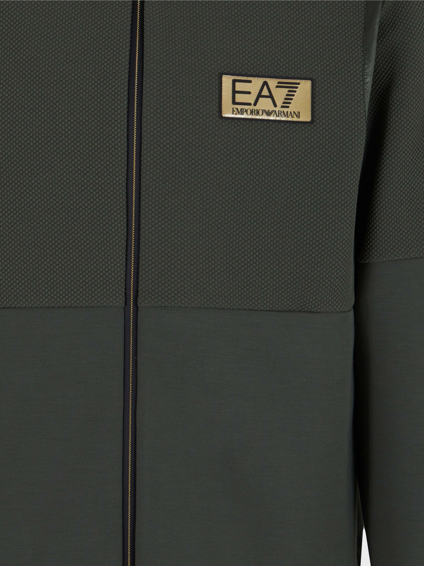 Кофта EA7 Gold Label модель 3DPM09-PJUZZ-1846 Фото