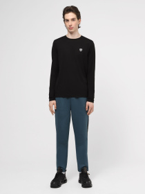 Штаны спортивные EA7 Vigor7 модель 3DPP55-PJAHZ-1821 Фото