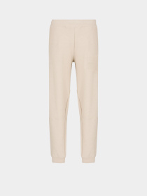 Штаны спортивные EA7 Logo Series модель 3DPP81-PJTKZ-1946 Фото