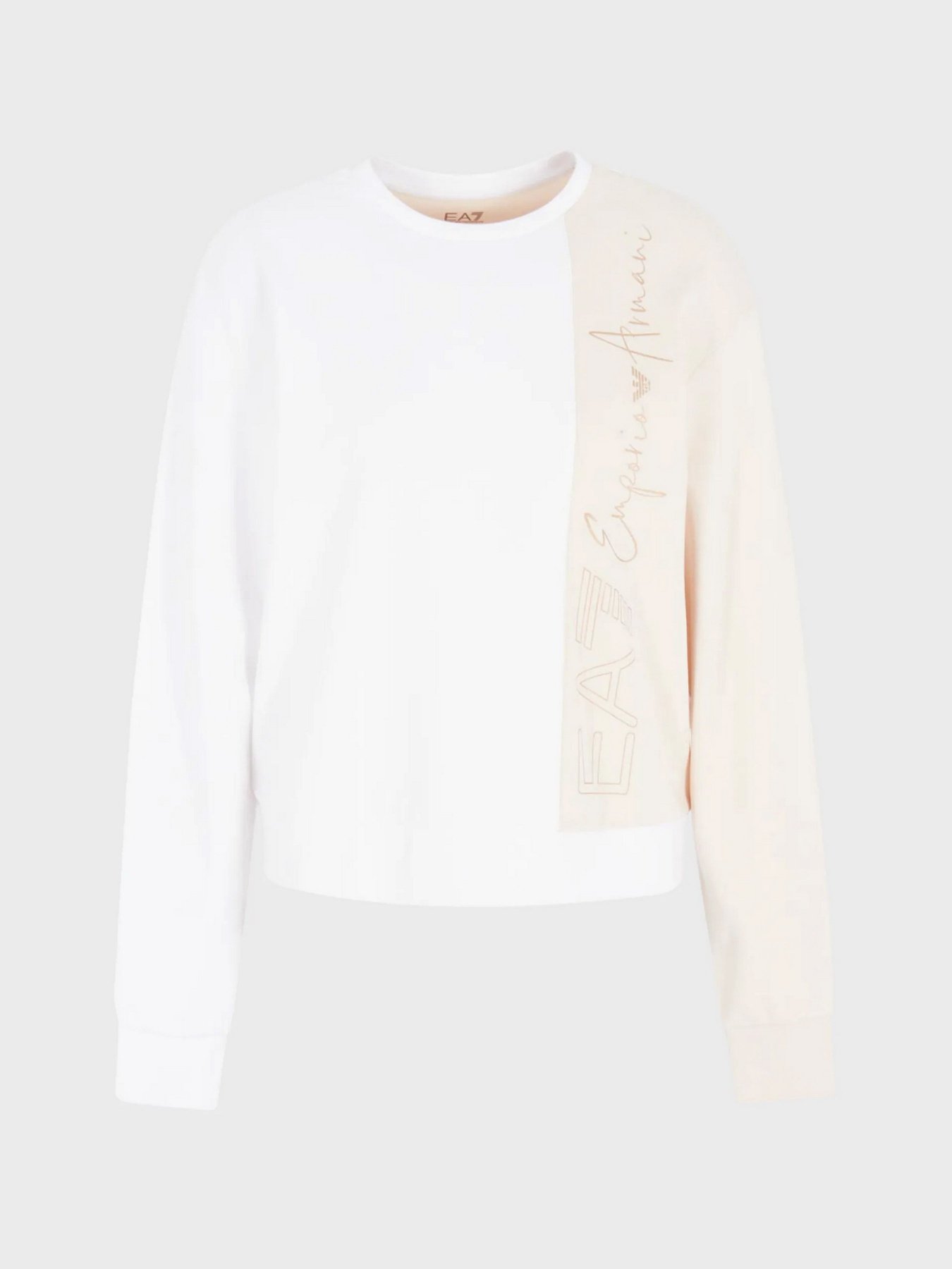 Свитшот EA7 Tonal Block модель 3RTM26-TJKPZ-1100 Фото