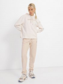 Штаны спортивные EA7 Tonal Block модель 3RTP68-TJKPZ-1741 Фото