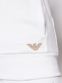 Кофта спортивная EA7 Evolution модель 8NTM43-TJ9RZ-1100 Фото